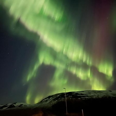 Stora-Asgeirsa Horse Farm Stay Vithigerthi Eksteriør billede