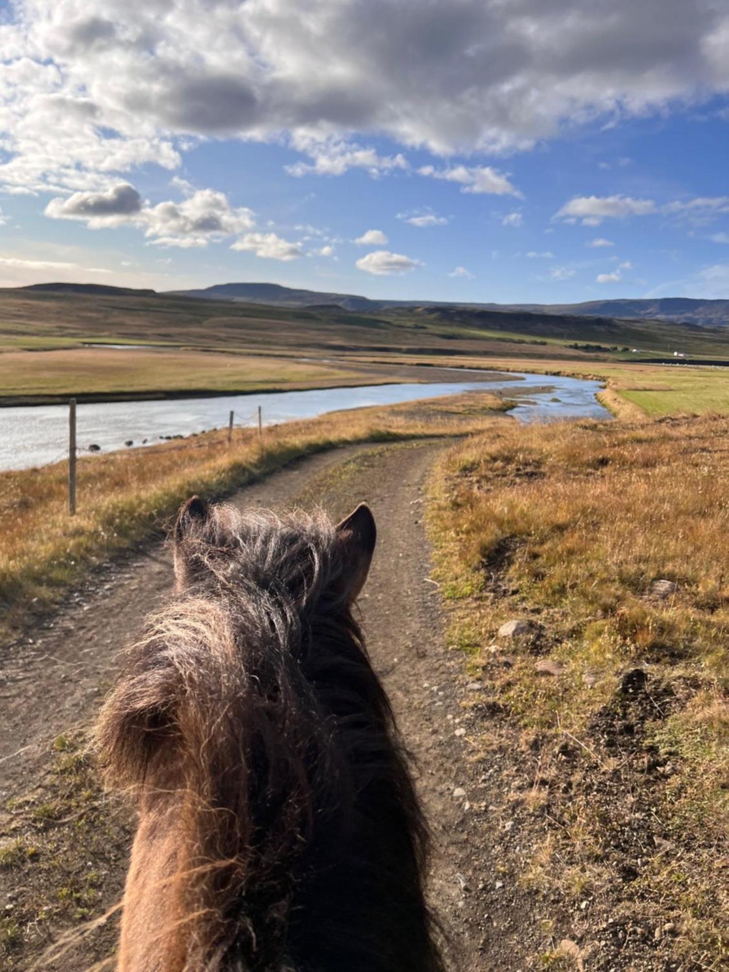 Stora-Asgeirsa Horse Farm Stay Vithigerthi Eksteriør billede