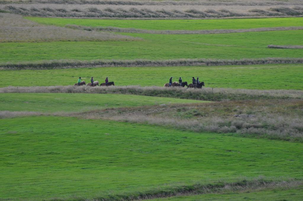 Stora-Asgeirsa Horse Farm Stay Vithigerthi Eksteriør billede